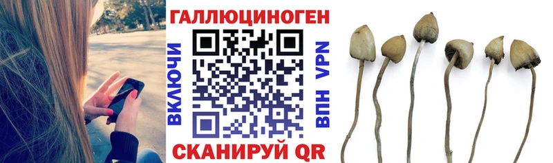 Купить закладки  Красный Кут  Псилоцибиновые грибы MAGIC MUSHROOMS 