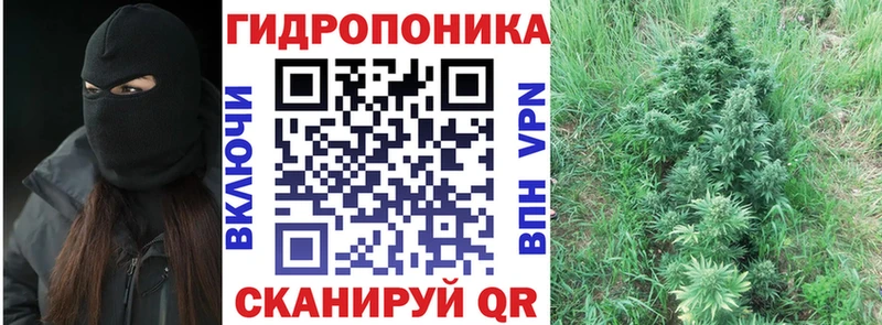 Купить где  Красный Кут  Канабис SATIVA & INDICA 